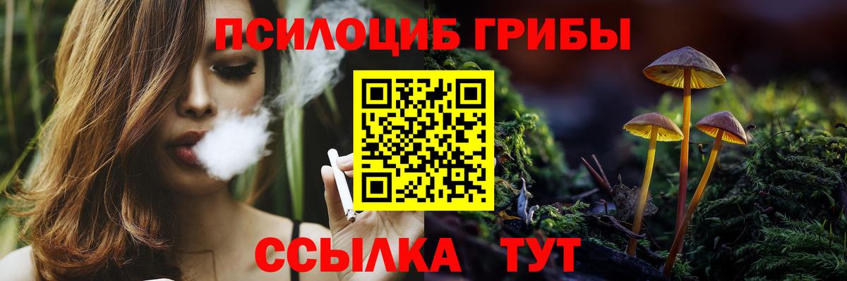 Лесосибирск  хочу   Вход с VPN  Галлюциногенные грибы ЛСД  Псилоцибиновые грибы Psilocybe 